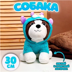 Мягкая игрушка «Собака», в костюмчике, 30 см