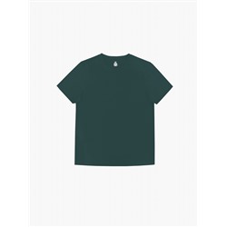 Домашняя футболка "Индефини" (Арт.831000-03-PST1017)