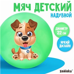 Мяч детский ZABIAKA «Пёсик», d=22 см, цвет МИКС