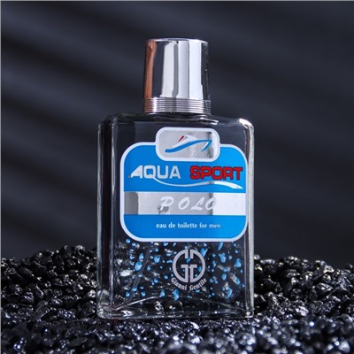 Туалетная вода мужская Positive parfum, AQUA SPORT POLO, 100 мл