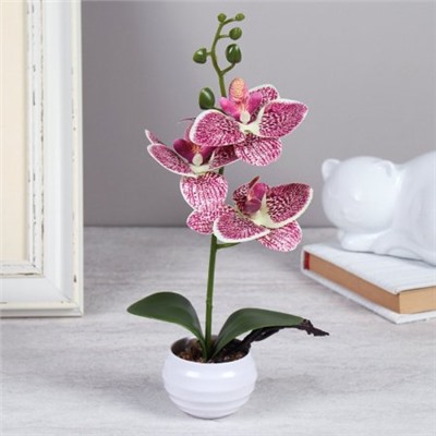 Цветочная композиция Орхидея 29 см / LM-794 /уп 144/