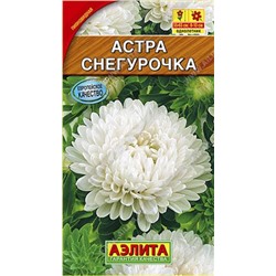 Астра Снегурочка (Код: 85988)