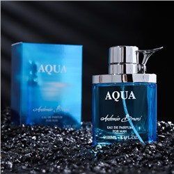 Парфюмерная вода мужская AQUA, 100 мл