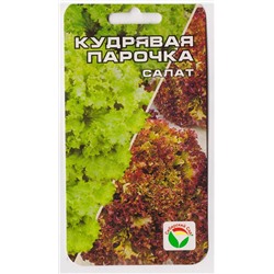 Салат Кудрявая Парочка (Код: 73203)