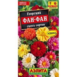 Георгина Фан-Фан смесь (Код: 89526)