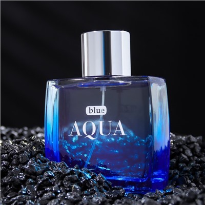 Туалетная вода мужская Blue Aqua, 100 мл