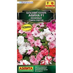 Бальзамин Афина F1 смесь махровый (Код: 92388)