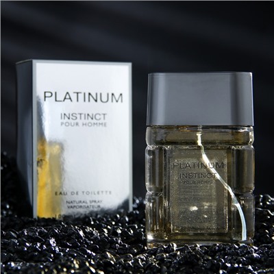 Туалетная вода мужская Instinct Platinum, 100 мл (по мотивам Egoiste Platinum (Chanel)