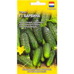 Огурец Барвина F1 (Код: 85608)