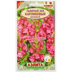 Львиный зев Карликовый Розовый (Код: 2995)