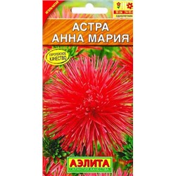 Астра Анна Мария (Код: 9641)