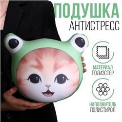 Подушка антистресс «Котик-лягушка»