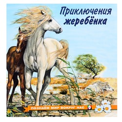 «Познаём мир вокруг нас. Приключения жеребёнка», 16 стр.