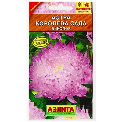 Астра Королева сада биколор (Код: 79833)