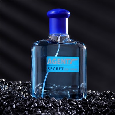 Парфюмерная вода мужская Agent Secret, 100 мл (по мотивам Blue Label (Givenchy)