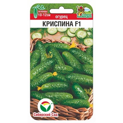 Огурец Криспина F1 (Код: 91107)