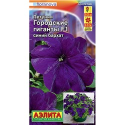 Петуния Городские гиганты синий бархатF1  (Код: 90568)