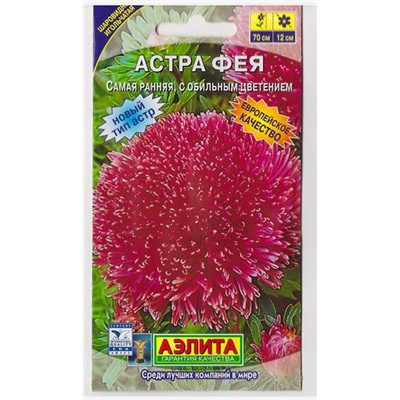 Астра Фея шаровидно-игольчатая (Код: 3629)