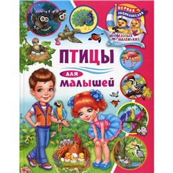 Птицы для малышей