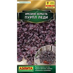 Ирезине Пурпл леди (Код: 90508)