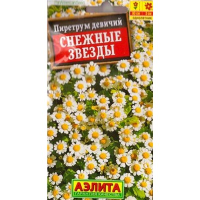 Пиретрум Снежные звезды (Код: 86787)