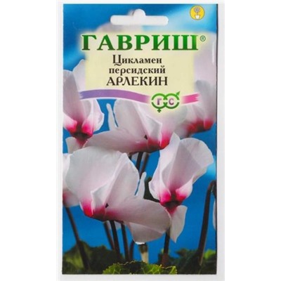 Цикламен Арлекин (Код: 4581)