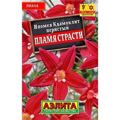 Ипомея Квамоклит Пламя страсти (лидер) (Код: 90490)