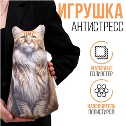 Антистресс игрушка, кот «Мейн-кун»