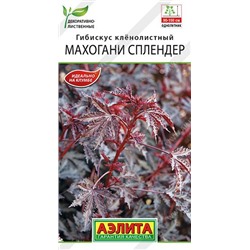 Гибискус Махогани сплендер (Код: 89527)