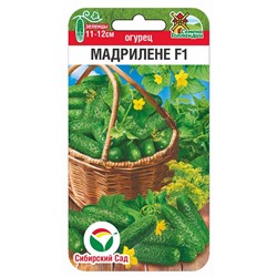 Огурец Мадрилене F1 (Код: 92162)