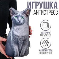 Антистресс игрушка, кот «Донская»