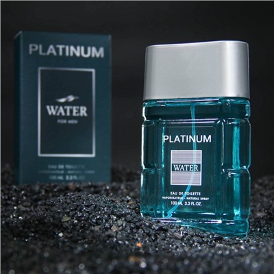 Туалетная вода мужская Platinum Water, 100 мл (по мотивам Blue Label (Givenchy)