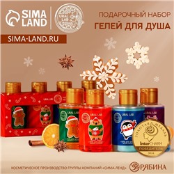 Подарочный набор косметики Happy New Year, гель для душа 4 х 100 мл, Новый Год