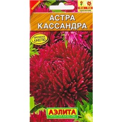 Астра Кассандра (Код: 85539)