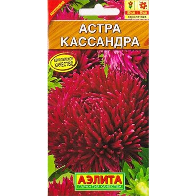 Астра Кассандра (Код: 85539)