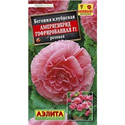 Бегония Америгибрид Розовая F1 (Код: 85999)