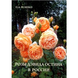 Розы Дэвида Остина в России. Есипко О.А.