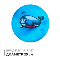 Мяч детский, d=25 см, 60 г, цвет МИКС