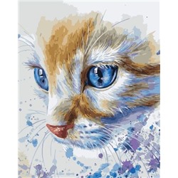 Картина по номерам 40х50 - Голубые кошачьи глаза