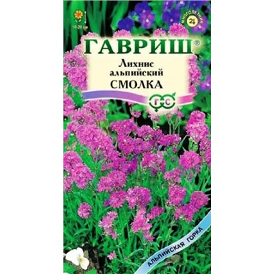 Лихнис Альпийский (смолка) (Код: 87341)