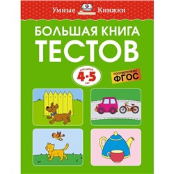 Большая книга тестов. 4-5 лет. Земцова О.