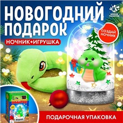 Набор для творчества «Новогодний подарок», ночник, игрушка змея, цвет игрушки в ночнике зелёный