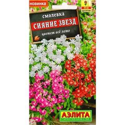 Смолевка Сияние звезд (Код: 84464)