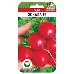 Редис Эскала F1 (Код: 91126)