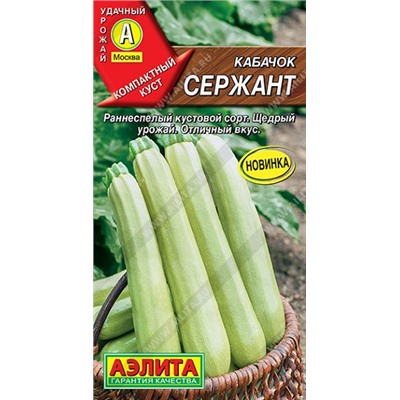 Кабачок Сержант (Код: 90915)