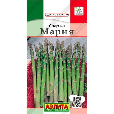 Спаржа Мария (Код: 89425)