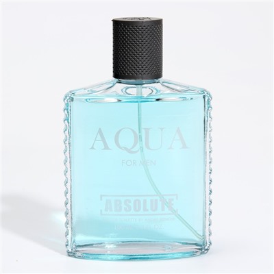 Туалетная вода мужская Absolute Aqua, 100 мл (по мотивам Acqua Di Gio (G.Armani)