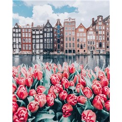 «Голландские тюльпаны»