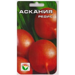 Редис Аскания  (Код: 75540)