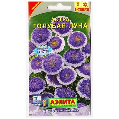 Астра Голубая луна (Код: 6309)